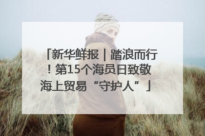 新华鲜报｜踏浪而行！第15个海员日致敬海上贸易“守护人”