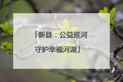 新县：公益巡河守护幸福河湖