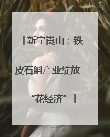 新宁崀山：铁皮石斛产业绽放“花经济”