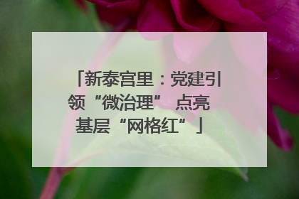 新泰宫里：党建引领“微治理” 点亮基层“网格红”