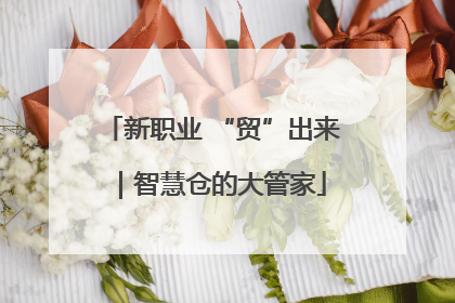 新职业 “贸”出来｜智慧仓的大管家