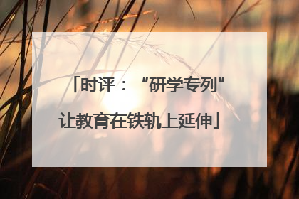 时评：“研学专列”让教育在铁轨上延伸