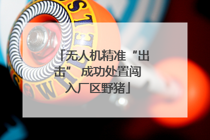 无人机精准“出击” 成功处置闯入厂区野猪