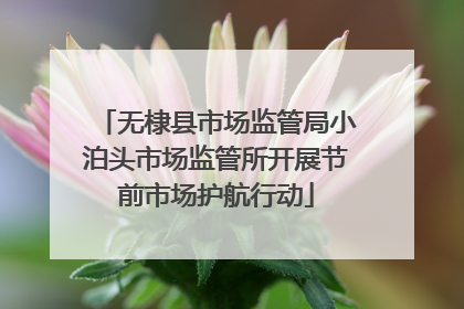 无棣县市场监管局小泊头市场监管所开展节前市场护航行动