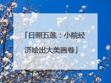 日照五莲：小院经济绘出大美画卷