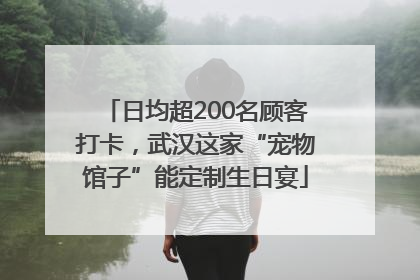 日均超200名顾客打卡，武汉这家“宠物馆子”能定制生日宴