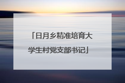 日月乡精准培育大学生村党支部书记