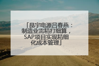 昆宇电源吕春燕：制造业需精打细算，SAP项目实现精细化成本管理