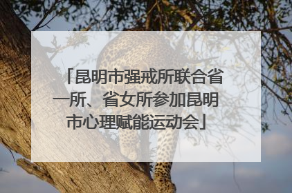 昆明市强戒所联合省一所、省女所参加昆明市心理赋能运动会