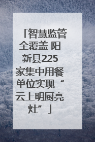 智慧监管全覆盖 阳新县225家集中用餐单位实现“云上明厨亮灶”