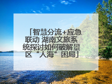 智慧分流+应急联动 湖南文旅系统探讨如何破解景区“人海”困局