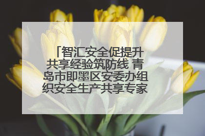 智汇安全促提升 共享经验筑防线 青岛市即墨区安委办组织安全生产共享专家现场观摩学习活动