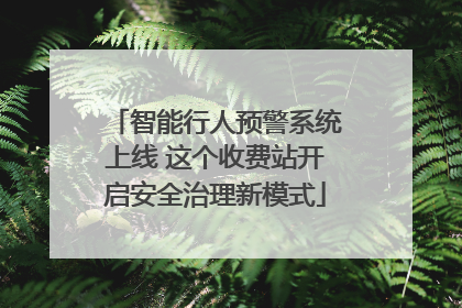 智能行人预警系统上线 这个收费站开启安全治理新模式