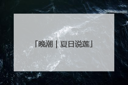 晚潮｜夏日说莲