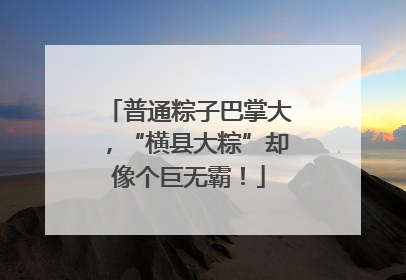 普通粽子巴掌大，“横县大粽”却像个巨无霸！