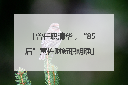 曾任职清华，“85后”黄佐财新职明确