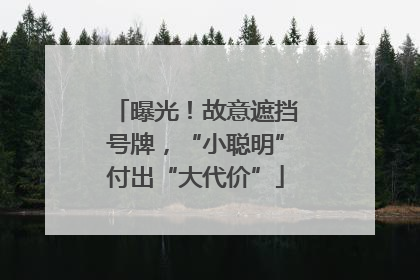 曝光！故意遮挡号牌，“小聪明”付出“大代价”