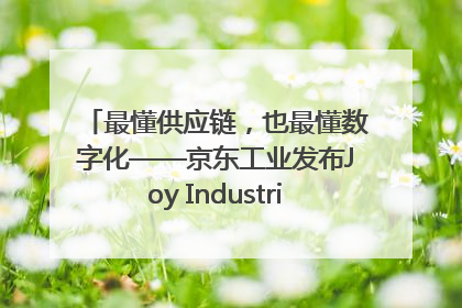 最懂供应链，也最懂数字化——京东工业发布Joy Industrial 重塑工业未来