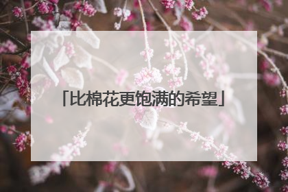 比棉花更饱满的希望