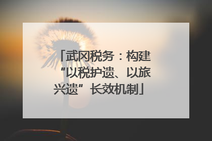 武冈税务：构建“以税护遗、以旅兴遗”长效机制