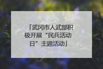 武冈市人武部积极开展“民兵活动日”主题活动