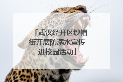 武汉经开区纱帽街开展防溺水宣传进校园活动
