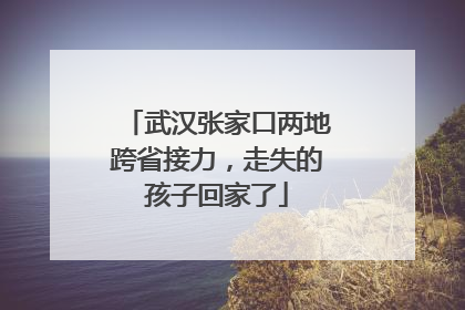 武汉张家口两地跨省接力，走失的孩子回家了