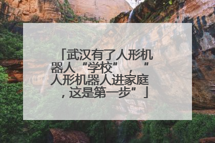 武汉有了人形机器人“学校”，“人形机器人进家庭，这是第一步”