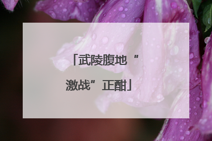 武陵腹地“激战”正酣