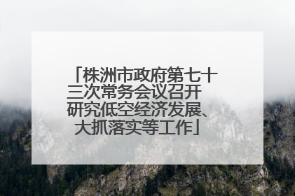 株洲市政府第七十三次常务会议召开 研究低空经济发展、大抓落实等工作
