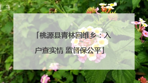 桃源县青林回维乡：入户查实情 监督保公平