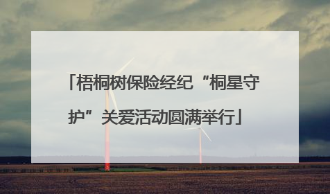 梧桐树保险经纪“桐星守护”关爱活动圆满举行