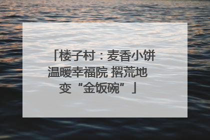楼子村：麦香小饼温暖幸福院 撂荒地变“金饭碗”