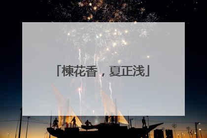 楝花香，夏正浅