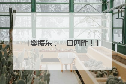 樊振东，一日四胜！