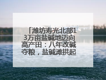 潍坊寿光北部13万亩盐碱地迈向高产田：八年改碱夺粮，盐碱滩拱起“金粮仓”