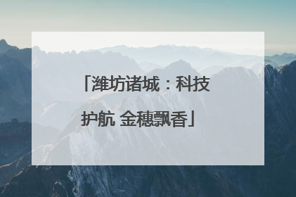 潍坊诸城：科技护航 金穗飘香