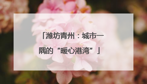 潍坊青州：城市一隅的“暖心港湾”