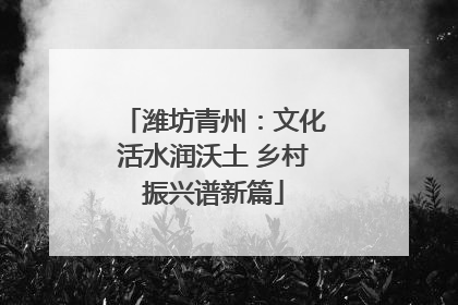 潍坊青州：文化活水润沃土 乡村振兴谱新篇