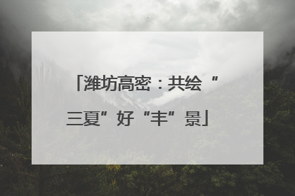 潍坊高密：共绘“三夏”好“丰”景