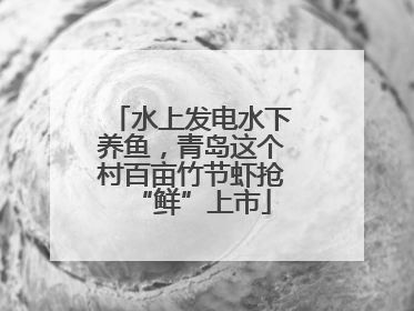水上发电水下养鱼，青岛这个村百亩竹节虾抢“鲜”上市