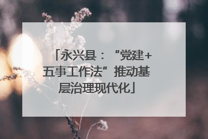 永兴县：“党建+五事工作法”推动基层治理现代化