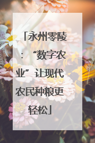 永州零陵：“数字农业”让现代农民种粮更轻松