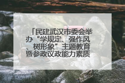 民建武汉市委会举办“学规定、强作风、树形象”主题教育暨参政议政能力素质提升培训班