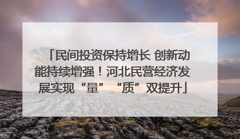 民间投资保持增长 创新动能持续增强！河北民营经济发展实现“量”“质”双提升