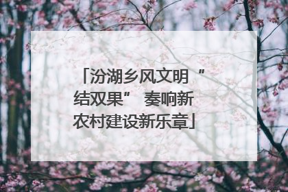 汾湖乡风文明“结双果” 奏响新农村建设新乐章