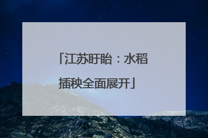 江苏盱眙：水稻插秧全面展开