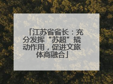 江苏省省长：充分发挥“苏超”撬动作用，促进文旅体商融合