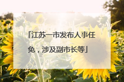 江苏一市发布人事任免，涉及副市长等