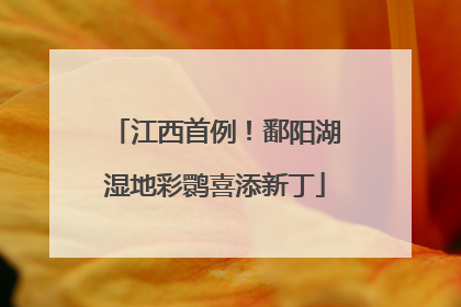 江西首例！鄱阳湖湿地彩鹮喜添新丁